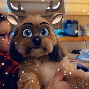 Meet your Posher, Jenn